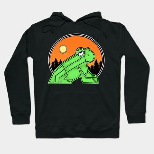 The moon and a frog 3... Hoodie